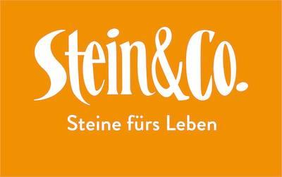Stein & Co Logo